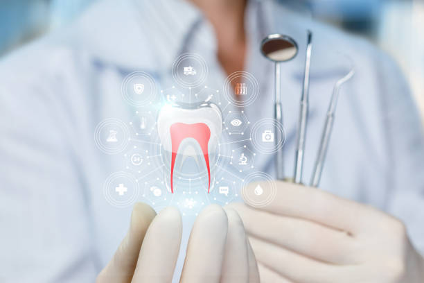 Why Choose Us for Your Dental Needs in Meeker, CO