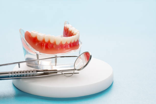 Trusted Meeker, CO  Holistic Dental Services Experts